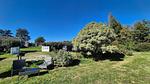 GardenSummer - Ferienhaus für 12 Personen (140 m²) in La Haye - Top-Hundeurlaub