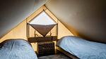 BedRoom - Ferienwohnung für 9 Personen (55 m²) in Callantsoog - Top-Hundeurlaub