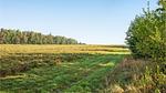 view-from-room - Ferienhaus für 6 Personen (50 m²) in Ørsted - Top-Hundeurlaub