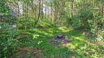 house - Ferienhaus für 6 Personen (108 m²) in Hurup Thy - Top-Hundeurlaub
