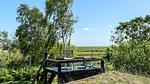view-from-room - Ferienhaus für 6 Personen (71 m²) in Dannemare - Top-Hundeurlaub
