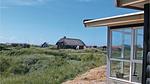 outside - Ferienhaus für 4 Personen (67 m²) in Fanø - Top-Hundeurlaub