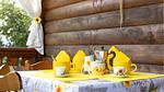 outside - Ferienhaus für 6 Personen (80 m²) in Sillano - Top-Hundeurlaub