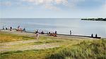 house - Ferienhaus für 8 Personen (120 m²) in Ringkøbing - Top-Hundeurlaub
