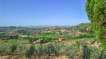 view-from-room - Ferienhaus für 12 Personen (240 m²) in Castiglion Fiorentino - Top-Hundeurlaub