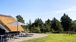outside - Ferienhaus für 8 Personen (98 m²) in Rømø - Top-Hundeurlaub