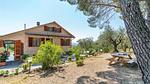 house - Ferienhaus für 8 Personen (250 m²) in Murlo - Top-Hundeurlaub