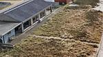 house - Ferienhaus für 6 Personen (105 m²) in Slagelse - Top-Hundeurlaub