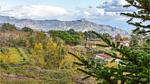 view-from-room - Ferienhaus für 18 Personen (300 m²) in Sant'Alfio - Top-Hundeurlaub