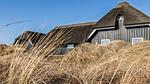 house - Ferienhaus für 14 Personen (200 m²) in Blåvand - Top-Hundeurlaub