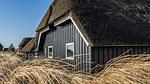 outside - Ferienhaus für 14 Personen (200 m²) in Blåvand - Top-Hundeurlaub