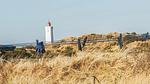 view-from-room - Ferienhaus für 14 Personen (200 m²) in Blåvand - Top-Hundeurlaub