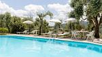 pool - Ferienhaus für 8 Personen (220 m²) in Borgo a Mozzano - Top-Hundeurlaub