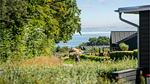 view-from-room - Ferienhaus für 24 Personen (308 m²) in Haderslev - Top-Hundeurlaub