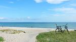 beach - Ferienhaus für 14 Personen (190 m²) in Odder - Top-Hundeurlaub