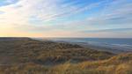 beach - Ferienhaus für 24 Personen (300 m²) in Vejers Strand - Top-Hundeurlaub