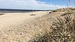 beach - Ferienhaus für 18 Personen (242 m²) in Frederiksværk - Top-Hundeurlaub