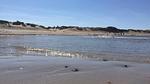 beach - Ferienhaus für 18 Personen (242 m²) in Frederiksværk - Top-Hundeurlaub