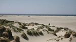beach - Ferienhaus für 22 Personen (265 m²) in Rømø - Top-Hundeurlaub