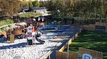 activities - Ferienhaus für 24 Personen (302 m²) in Idestrup - Top-Hundeurlaub