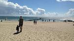 beach - Ferienhaus für 22 Personen (298 m²) in Blåvand - Top-Hundeurlaub
