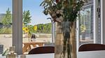 living-dining-room - Ferienhaus für 36 Personen (310 m²) in Spøttrup - Top-Hundeurlaub