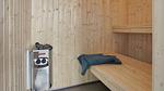 sauna - Ferienhaus für 20 Personen (257 m²) in Væggerløse - Top-Hundeurlaub
