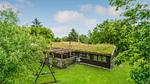 garden - Ferienhaus für 9 Personen (150 m²) in Frøstrup - Top-Hundeurlaub