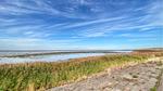 house - Ferienhaus für 6 Personen (50 m²) in Westerland (Nordholland) - Top-Hundeurlaub