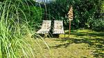 outside - Ferienhaus für 4 Personen (43 m²) in Scherpenisse - Top-Hundeurlaub