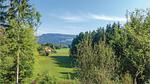 view-from-room - Ferienhaus für 5 Personen (110 m²) in Maria Elend - Top-Hundeurlaub