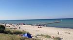 area - Ferienhaus für 20 Personen (300 m²) in Glesborg - Top-Hundeurlaub