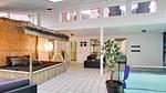 pool - Ferienhaus für 28 Personen (413 m²) in Ebeltoft - Top-Hundeurlaub