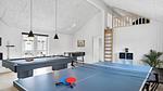 activities - Ferienhaus für 24 Personen (315 m²) in Frederiksværk - Top-Hundeurlaub