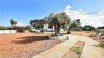 house - Ferienhaus für 8 Personen (130 m²) in Santa Croce Camerina - Top-Hundeurlaub