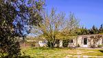 house - Ferienhaus für 5 Personen (55 m²) - Top-Hundeurlaub
