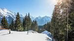 Untagged - Ferienwohnung für 5 Personen (21 m²) in Champagny-en-Vanoise - Top-Hundeurlaub