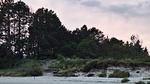 Untagged - Ferienhaus für 7 Personen (63 m²) in Rømø - Top-Hundeurlaub