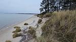 WaterView - Ferienhaus für 7 Personen (63 m²) in Rømø - Top-Hundeurlaub