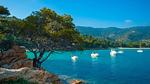 AreaSummer5KM - Ferienwohnung für 6 Personen (40 m²) in Hyères - Top-Hundeurlaub