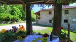 TerraceBalcony - Bauernhof für 7 Personen (90 m²) in Ortignano - Top-Hundeurlaub