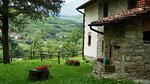 ExteriorSummer - Bauernhof für 7 Personen (90 m²) in Ortignano - Top-Hundeurlaub