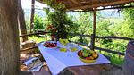 ViewSummer - Bauernhof für 7 Personen (90 m²) in Ortignano - Top-Hundeurlaub