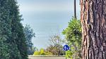 view-from-room - Ferienhaus für 5 Personen (50 m²) in Meschers-sur-Gironde - Top-Hundeurlaub