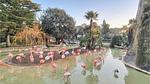 house - Ferienhaus für 5 Personen (50 m²) in Meschers-sur-Gironde - Top-Hundeurlaub