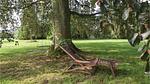 outside - Ferienhaus für 6 Personen (135 m²) in Haderslev - Top-Hundeurlaub