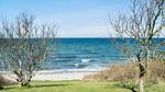 view-from-room - Ferienhaus für 6 Personen (86 m²) in Sjællands Odde - Top-Hundeurlaub