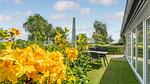 garden - Ferienhaus für 5 Personen (66 m²) in Roslev - Top-Hundeurlaub