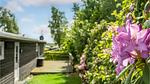 outside - Ferienhaus für 5 Personen (66 m²) in Roslev - Top-Hundeurlaub