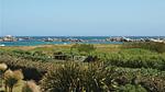 view-from-room - Ferienhaus für 10 Personen (104 m²) in Kerlouan - Top-Hundeurlaub